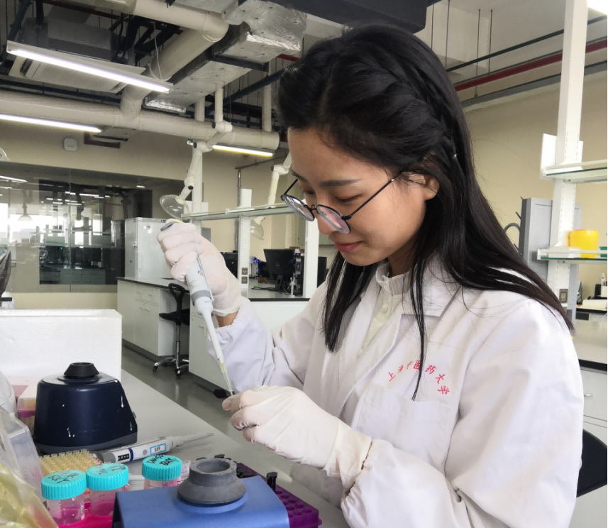 张凤入选2025年度博士后创新人才支持计划