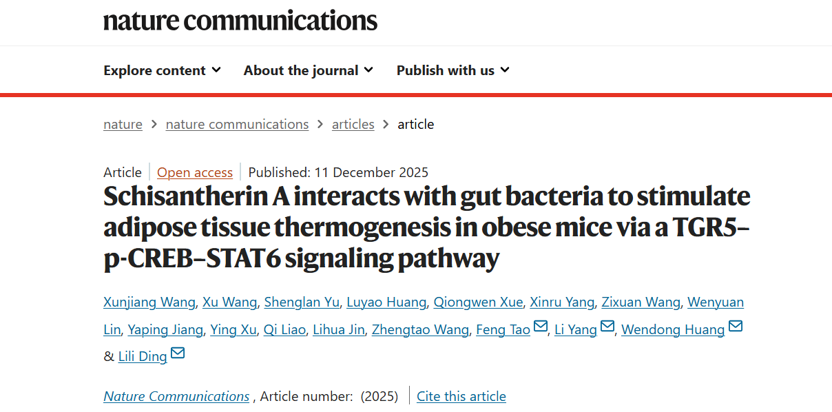 我校丁丽丽研究员、杨莉研究员带领双方团队破解中药来源天然产物促进脂肪产热减重新机制